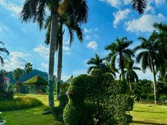 -东南花都花博园