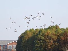 -苏州太湖国家湿地公园