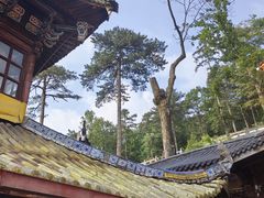 -九华山风景区
