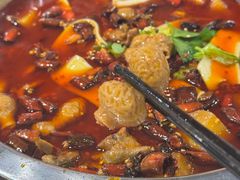 -晓彭肥肠鸡·泡椒鸡火锅(水木天地店)