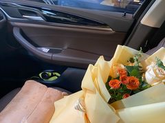 -天猫养车贴膜轻改·蓝电(优匹康桥东路店)