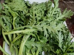 -丁月玉兔王(大渡口店)