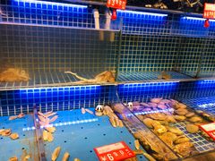 -必点海鲜·鲅鱼水饺(鞍山西道店)
