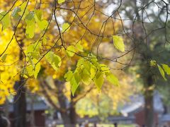 -青州市云门山风景区