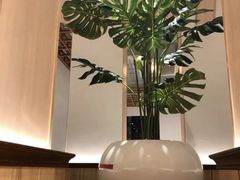 -森Some Fusion(荔湾店)