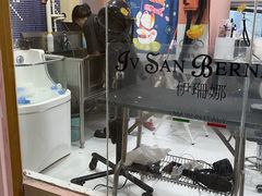 -车接车送·寄养洗护·德文猫舍(大宁店)