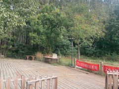 -北京京卫宠物寄养训练中心