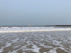 -渡海小渔村.老辈日照菜