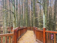 -山王坪喀斯特国家生态公园