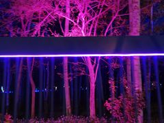 -枫花园汽车电影院(朝阳公园店)