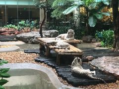 -麒麟中餐厅·经典粤菜·地道菜式老字号(广州长隆酒店)