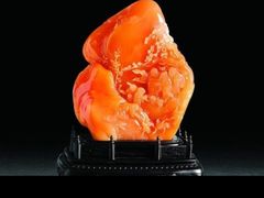 -甘肃地质博物馆