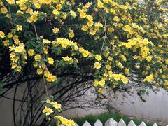 -北京鲁迅博物馆(北京新文化运动纪念馆鲁博馆区)