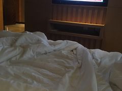 -西安赛瑞喜来登大酒店