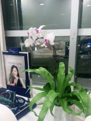 点击看大图 -洁铭新加坡医美