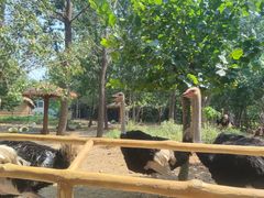 -大连森林动物园