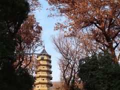 -灵谷景区