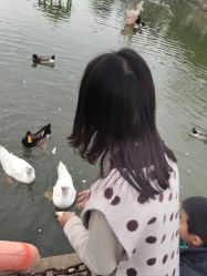 -玄武湖景区-情侣园游乐场