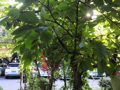 -小仙居·农家宴烤羊· 农庄