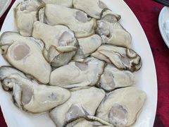 -冯姐生蚝(长隆横琴店)
