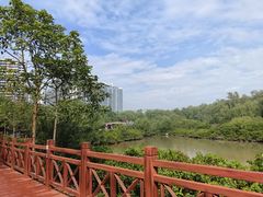 -大亚湾红树林城市湿地公园