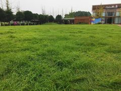 -洪湖家庭农场·团建·露营·会议