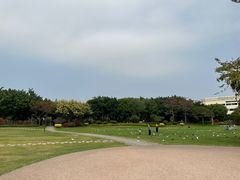 -白鹭洲公园