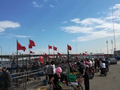 -红星码头