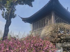 -梅园