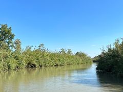 -泗洪洪泽湖湿地景区