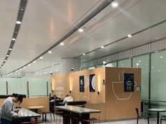 大堂-麦当劳(北京大兴机场二层国内到达(安检外)店)