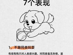 -派联宠物医院·24h·CT·异宠