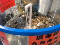 -仙螺岛海鲜自助餐厅(总店)