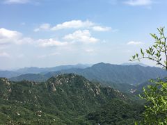 -大岭沟猕猴桃谷风景区