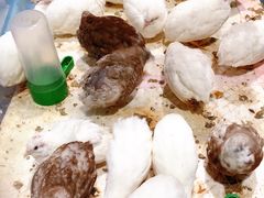 -华声天桥民俗文化园