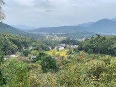 -塔川景区
