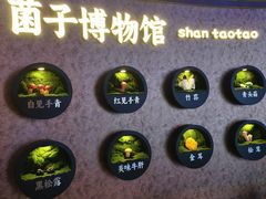 -北京王府井希尔顿酒店·秦唐中餐厅Chynna