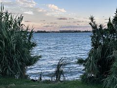 -漕湖湿地公园