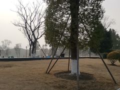 -九科绿洲