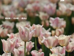 -静安雕塑公园