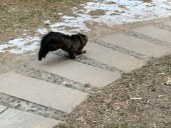 -北京大学赛克勒考古与艺术博物馆