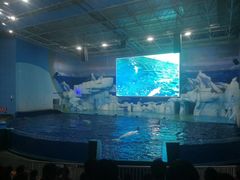 -福州罗源湾海洋世界旅游区