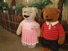 -济州岛泰迪熊博物馆