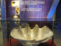 -中国地质大学逸夫博物馆