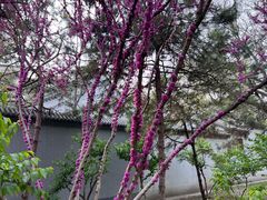 -玲珑塔公园