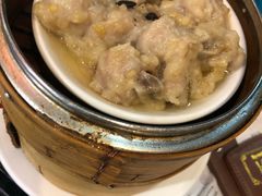 -糖朝(尖沙咀店)