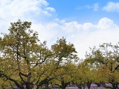 -江苏三台山国家森林公园