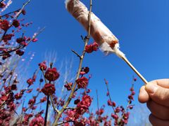 -蜀冈西峰生态公园