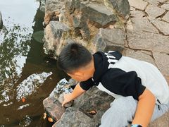 -西园寺素食(西园弄戒幢律寺店)