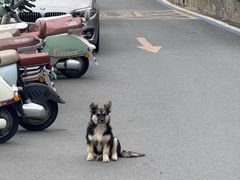 -石头会唱歌融来+北港岚台两岸交流中心